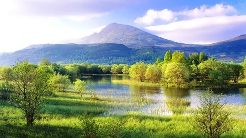 独特智能化精密